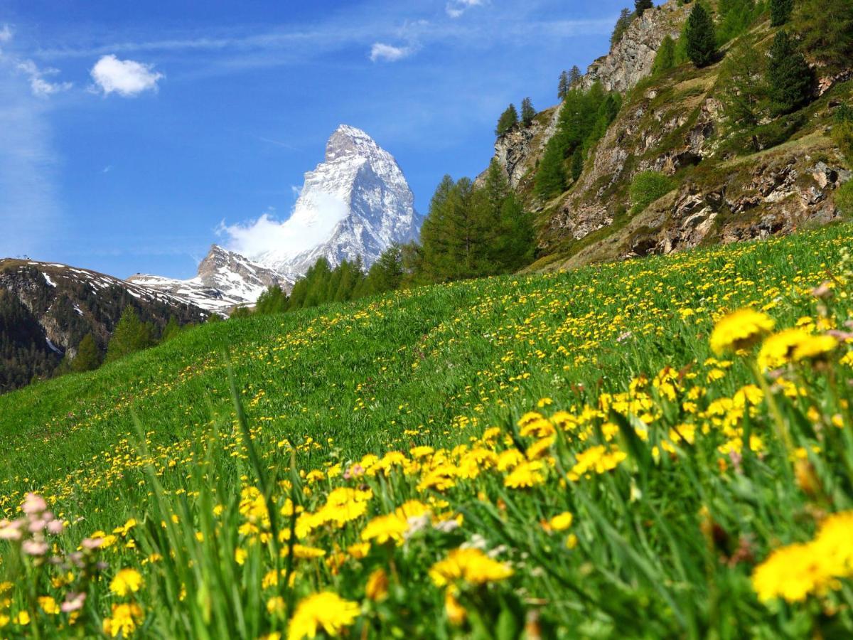 Apartment La Prairie By Interhome Zermatt Exterior foto